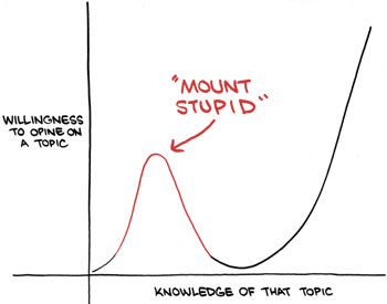 Mount Stupid, where confidence dwarfs competence